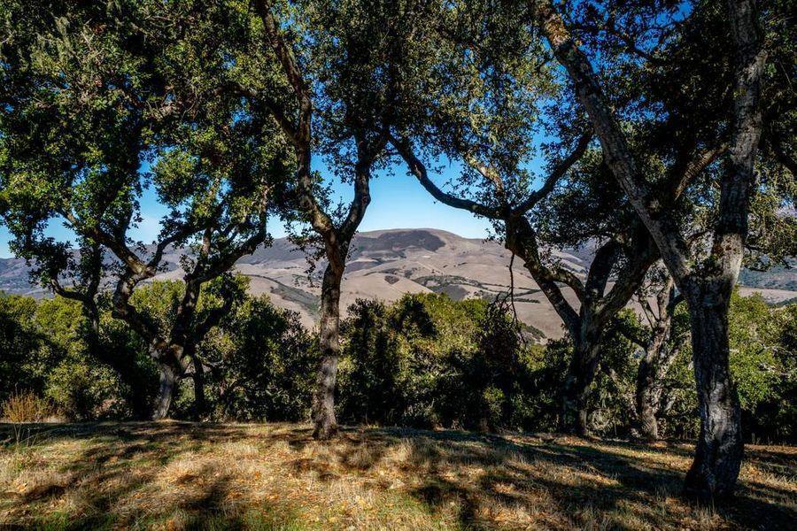 17114 Cachagua Road