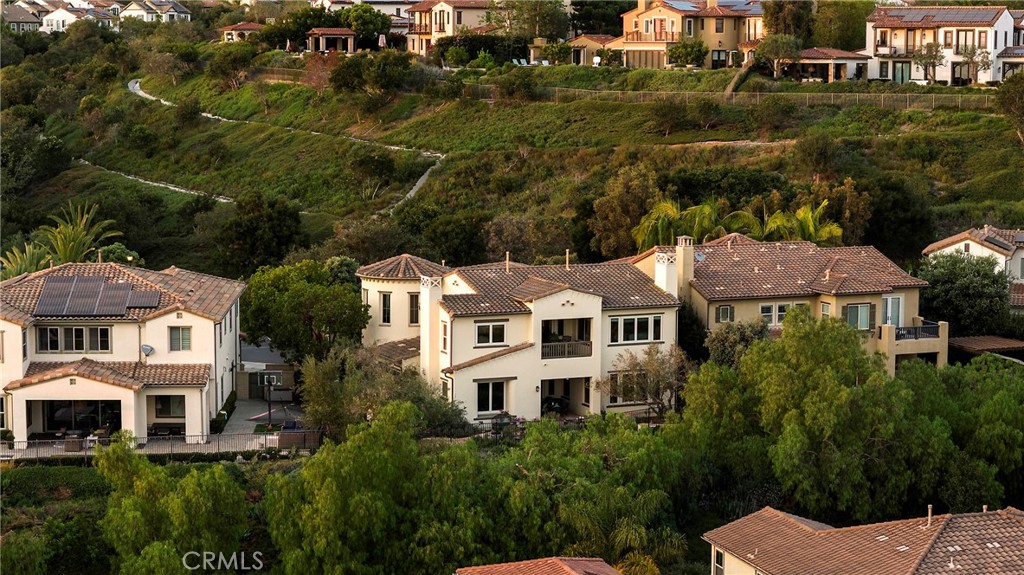 19 Calle Estilo Nuevo