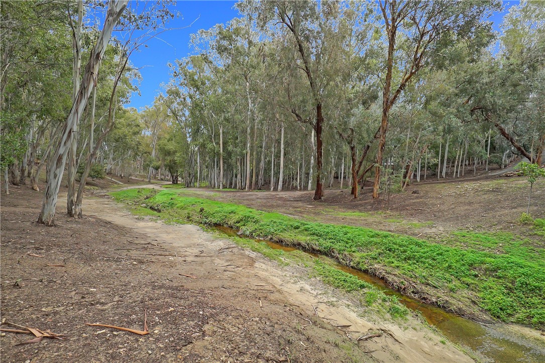 Woods (TW) - Residential