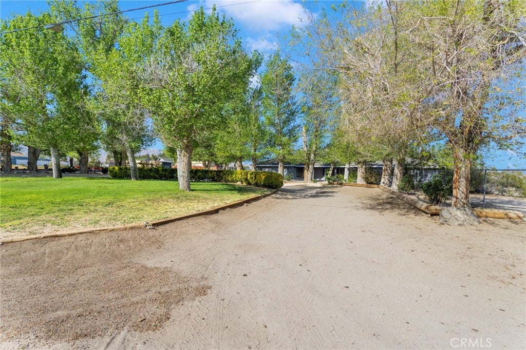 10298 Custer Avenue