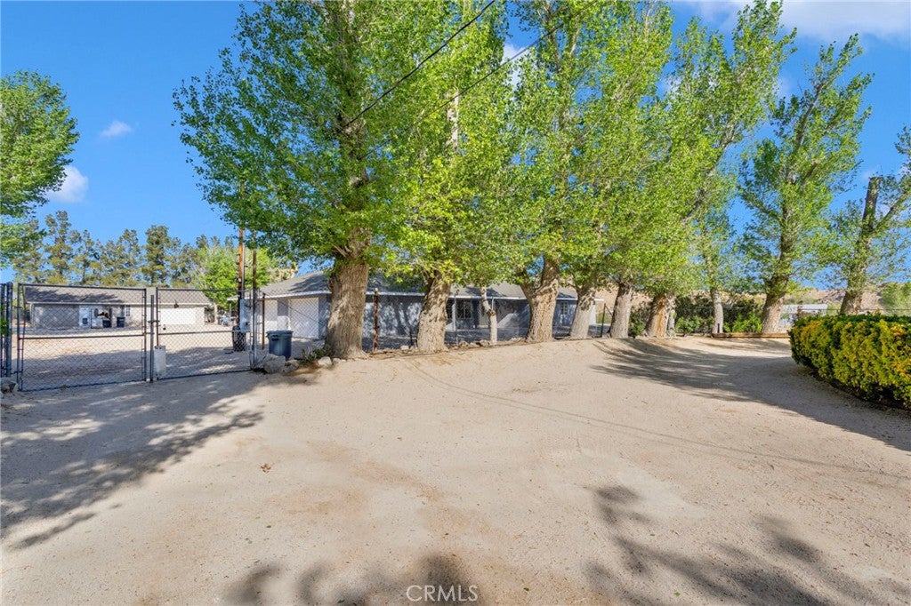 10298 Custer Avenue