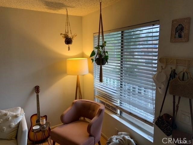 25006 Terrace Lantern