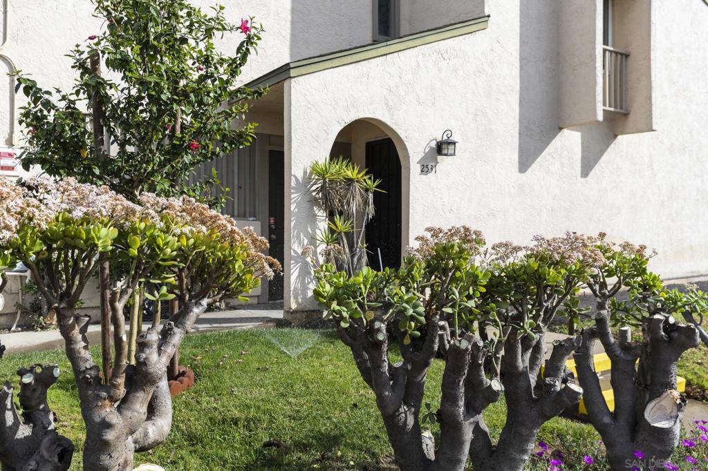 2531 Caminito Hiedra