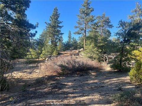 Photo of 45 Deep Creek Drive, Running Springs, CA 92382 (MLS # OC25174835)