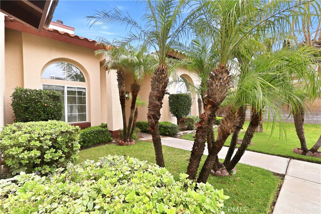 3842 N Sweet Leaf