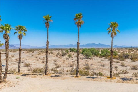 Tiny photo for 43960 Shasta Drive, Desert Center, CA 92239 (MLS # 219150532DA)
