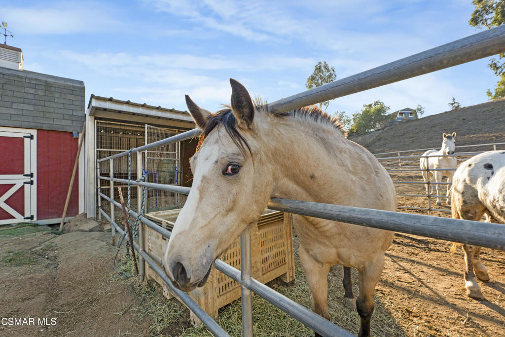 Orchard Downs-330 - 1003112 - Residential