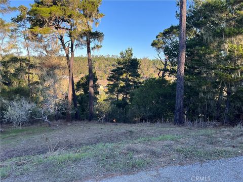 Tiny photo for 3235 Rogers, Cambria, CA 93428 (MLS # SC25250182)