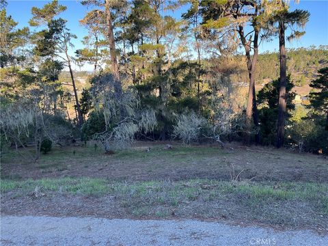 Tiny photo for 3235 Rogers, Cambria, CA 93428 (MLS # SC25250182)