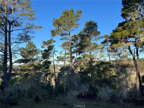 Tiny photo for 3235 Rogers, Cambria, CA 93428 (MLS # SC25250182)