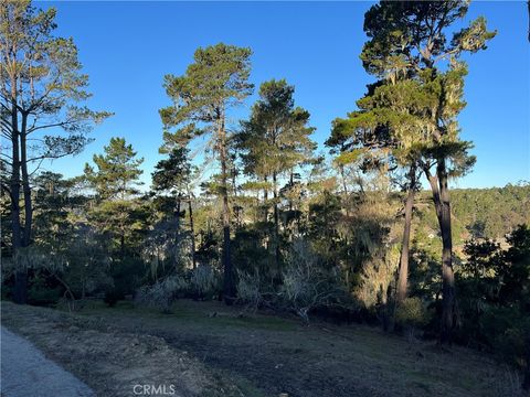 Tiny photo for 3235 Rogers, Cambria, CA 93428 (MLS # SC25250182)