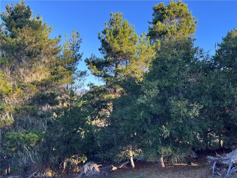 Tiny photo for 3235 Rogers, Cambria, CA 93428 (MLS # SC25250182)