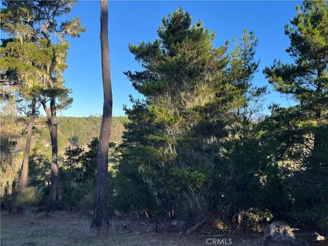 Tiny photo for 3235 Rogers, Cambria, CA 93428 (MLS # SC25250182)