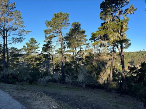 Tiny photo for 3235 Rogers, Cambria, CA 93428 (MLS # SC25250182)