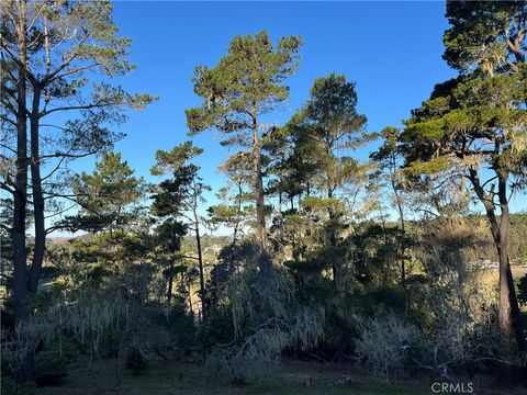 Photo of 3235 Rogers, Cambria, CA 93428 (MLS # SC25250182)