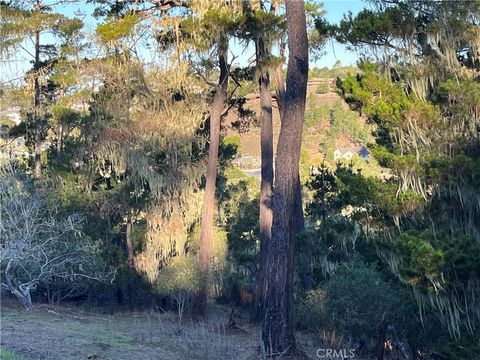 Tiny photo for 3235 Rogers, Cambria, CA 93428 (MLS # SC25250182)