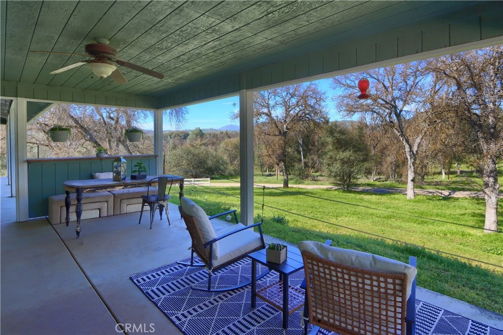 4421 Scrubby Oak