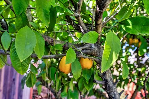 Tiny photo for 16593 Buckhorn Road, Hidden Valley Lake, CA 95467 (MLS # LC26050082)