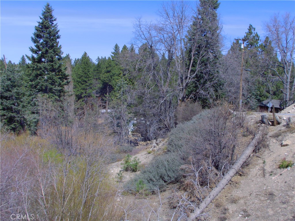 33564 Falling Leaf dr.
