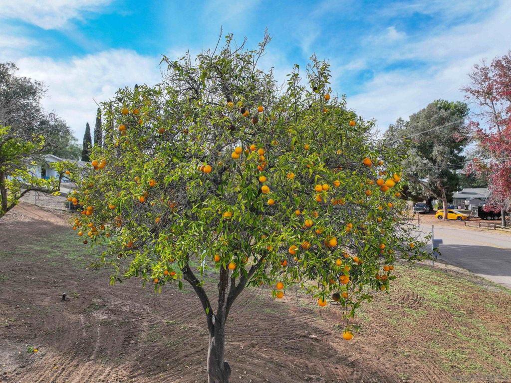 Southwest Escondido - Residential