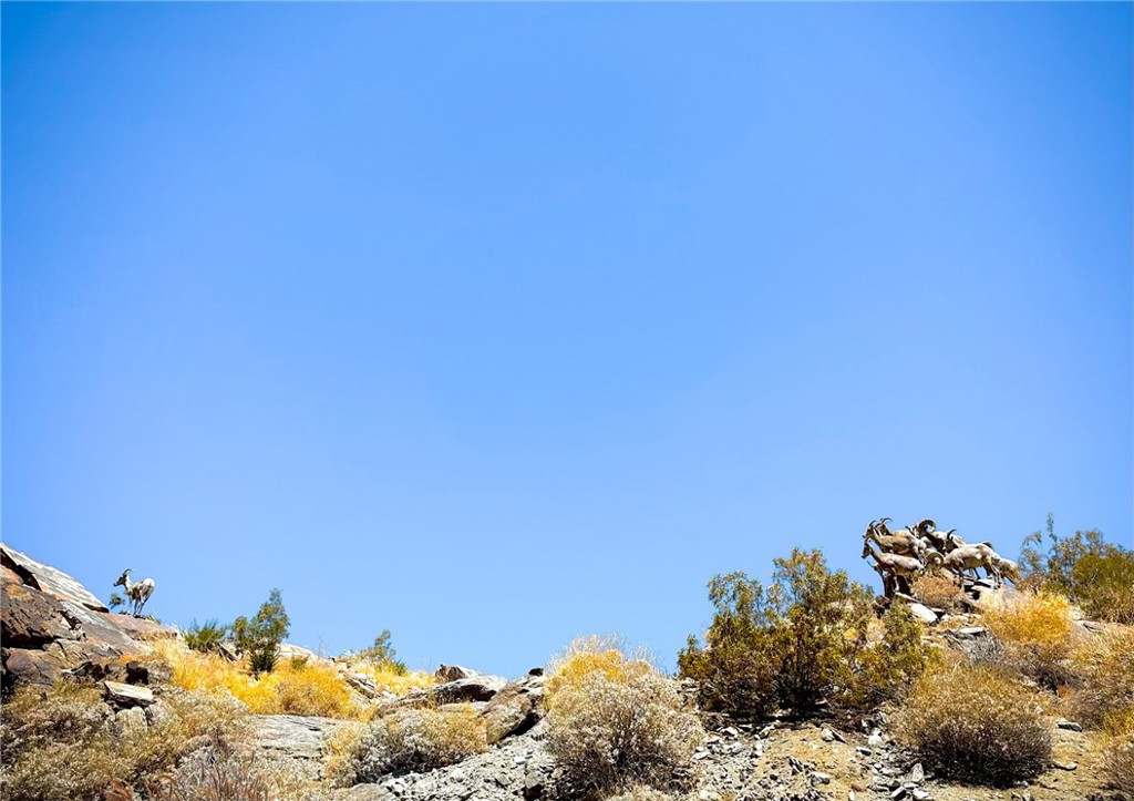 Palm Canyon (60040) - Residential