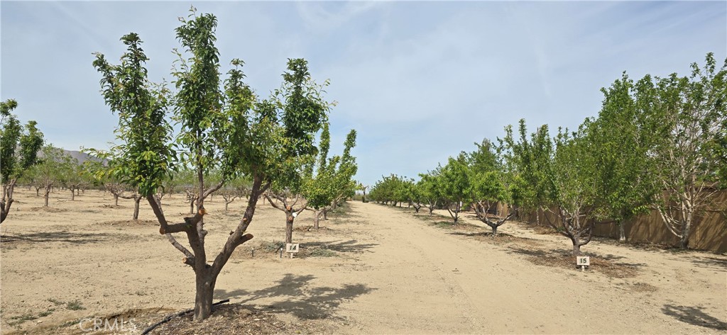 30996 Clark Road