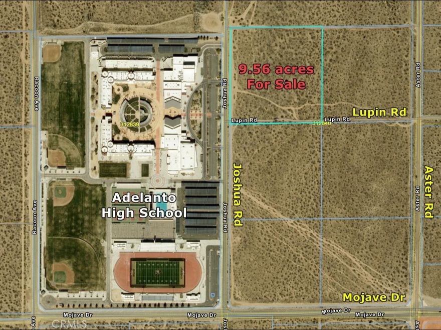 ***On Paved Road***Large lot. The lot is fronting paved road and not far from Mojave Dr. Utilities are nearby. This lot is in San Bernardino County jurisdiction and zoned for RL (Rural Living) which allows for residential, incidental agriculture and many other uses. This is really an unique opportunity that offers endless possibilities. Do not miss this opportunity to make your dream come true on this blank canvas. Please note that the boundaries represented in the photos are only an estimation. Buyers should verify every aspect aligns with their vision for the property. Seller may consider owner financing.