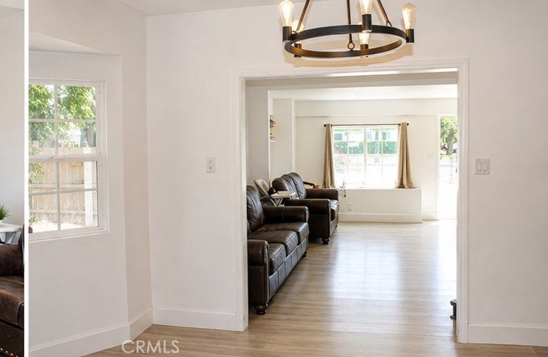 8296 Cypress