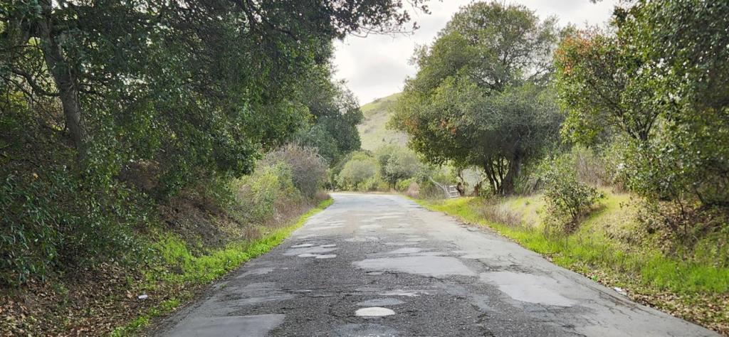Salinas Road