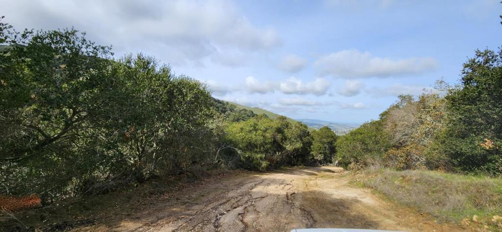 Salinas Road