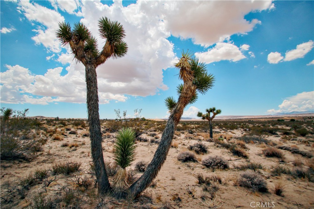 Discover 4.5 acres of serene desert beauty with sweeping panoramic views in the heart of Landers. This spacious parcel offers endless potential—perfect for a desert retreat, vacation rental, or off-grid living. Utilities are nearby, simplifying the build process, and the land is easily accessible by road.
Located just a short drive from the world-famous Integratron, the beloved La Copine restaurant, highly anticipated King of the Hammers event and the entrance to Joshua Tree National Park, this property offers the perfect blend of peaceful seclusion and easy access to local attractions. Whether you're looking to invest, build, or escape the city, this Landers gem is your gateway to the high desert lifestyle.