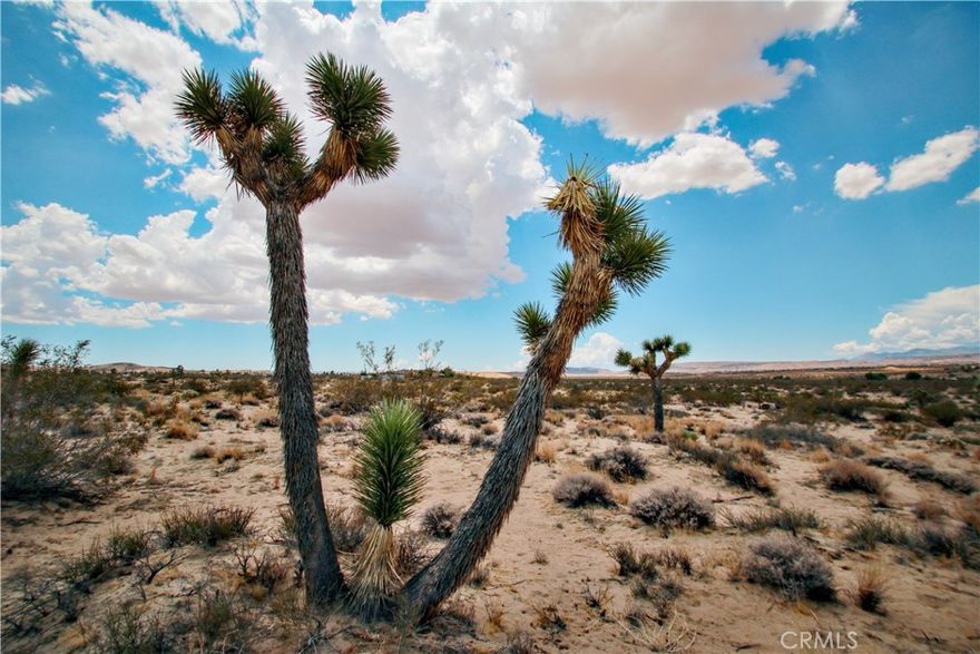 Discover 4.5 acres of serene desert beauty with sweeping panoramic views in the heart of Landers. This spacious parcel offers endless potential—perfect for a desert retreat, vacation rental, or off-grid living. Utilities are nearby, simplifying the build process, and the land is easily accessible by road.

Located just a short drive from the world-famous Integratron, the beloved La Copine restaurant, highly anticipated King of the Hammers event and the entrance to Joshua Tree National Park, this property offers the perfect blend of peaceful seclusion and easy access to local attractions.  Whether you're looking to invest, build, or escape the city, this Landers gem is your gateway to the high desert lifestyle.