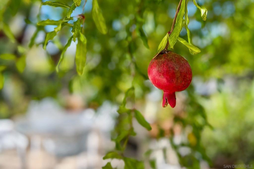 Mount Helix - Residential