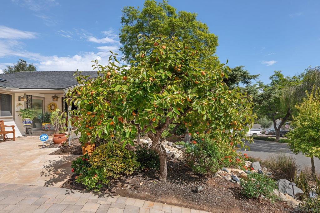 Mount Helix - Residential