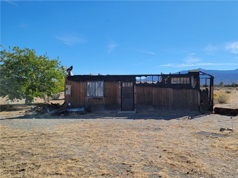 Photo of 10987 Corton Street, Phelan, CA 92371 (MLS # IV25248295) Photo of 10987 Corton Street, Phelan, CA 92371 (MLS # IV25248295)