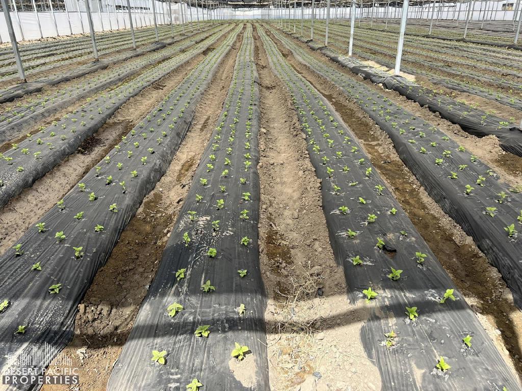 Not Applicable-1 - Land