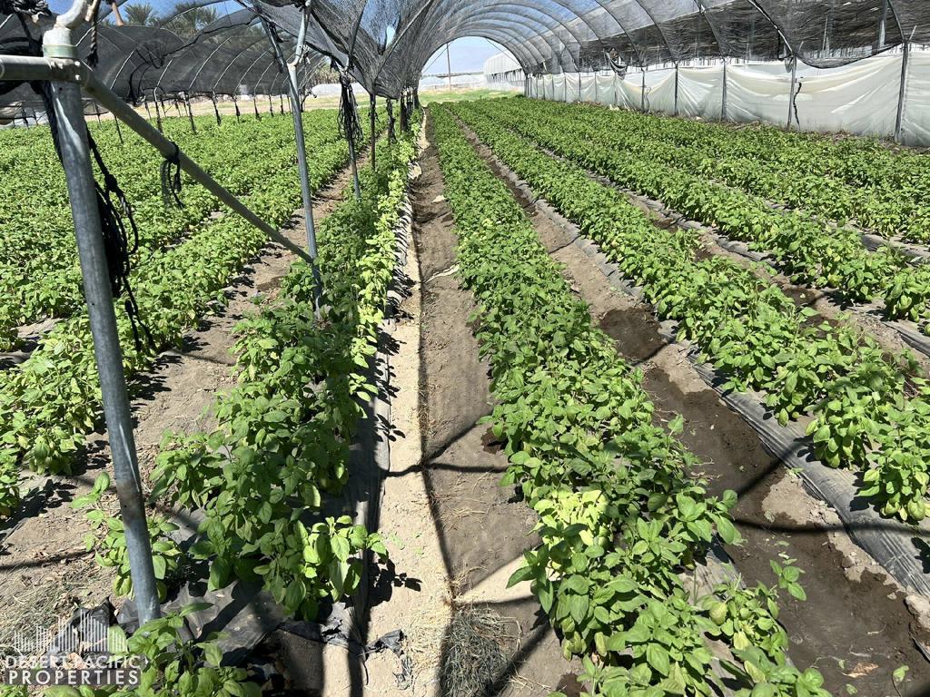 Not Applicable-1 - Land