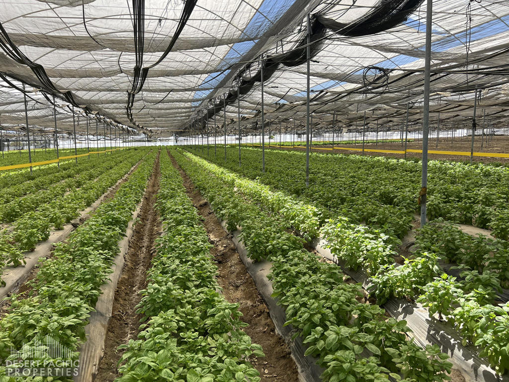 Not Applicable-1 - Land