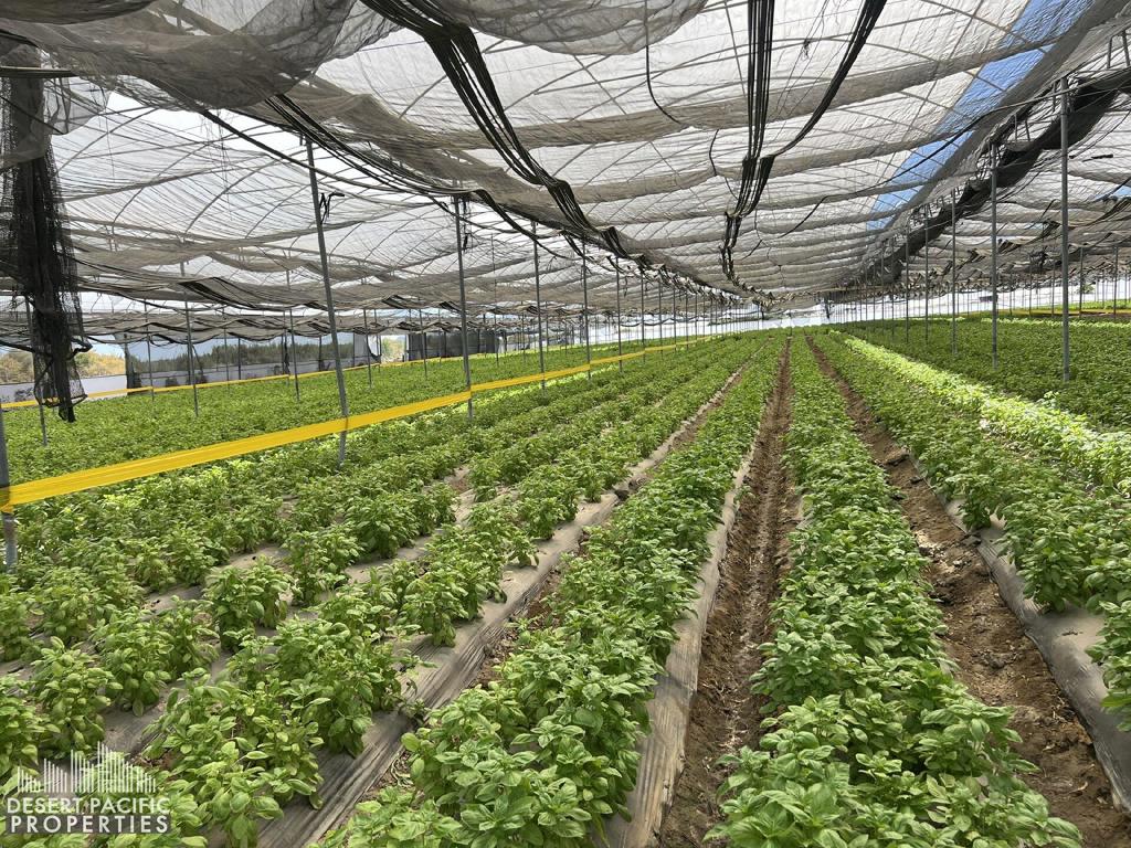 Not Applicable-1 - Land