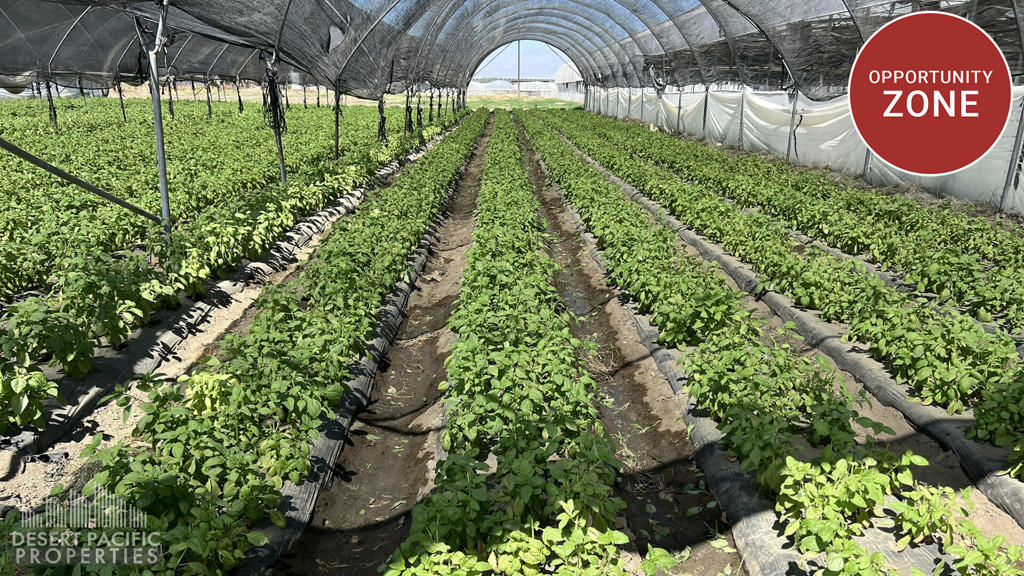 Prime organic agricultural operation in the Coachella Valley consists of: 8,000 sf packing building with 2 evaporative coolers with 1,800 sf walk-in cooler (50x36)/freon cooler (38- 40), three 14' roll-up doors, and loading dock. 8 greenhouses. 1.25 acre each. 21 mesh houses. 6 tunnels. 4,800 sf shop building with two 14 ft roll-up doors and germination room. Modular office building with 3 offices. Mobile home for caretaker unit (not included in the sale). Two wells, (approx. 100) 4 pumps, filter station, and reservoir. Low cost abundant Coachella Valley Water District (CVWD) irrigation water and two wells. Easy access to Expressway 86. In Federal Opportunity Zone, with potential for tax benefits. In Agricultural Preserve, which maintains low property taxes. Also available for lease for $20,000/MO NNN. NNN Charge: TBD. Appointment only. Please call Susan Harvey at 760-250-8992.