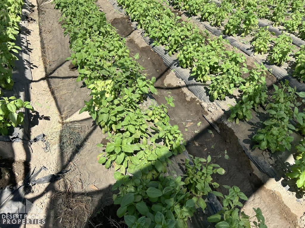 Not Applicable-1 - Land