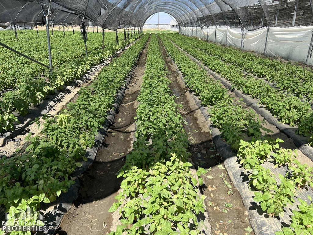 Not Applicable-1 - Land