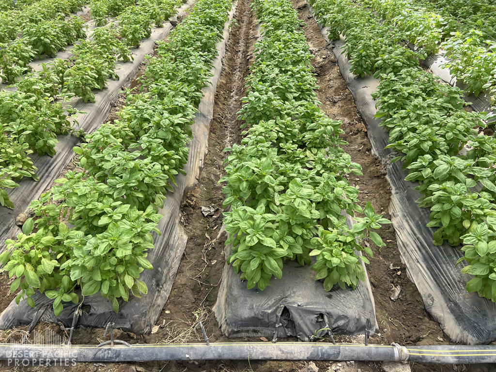 Not Applicable-1 - Land