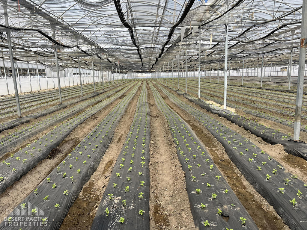 Not Applicable-1 - Land