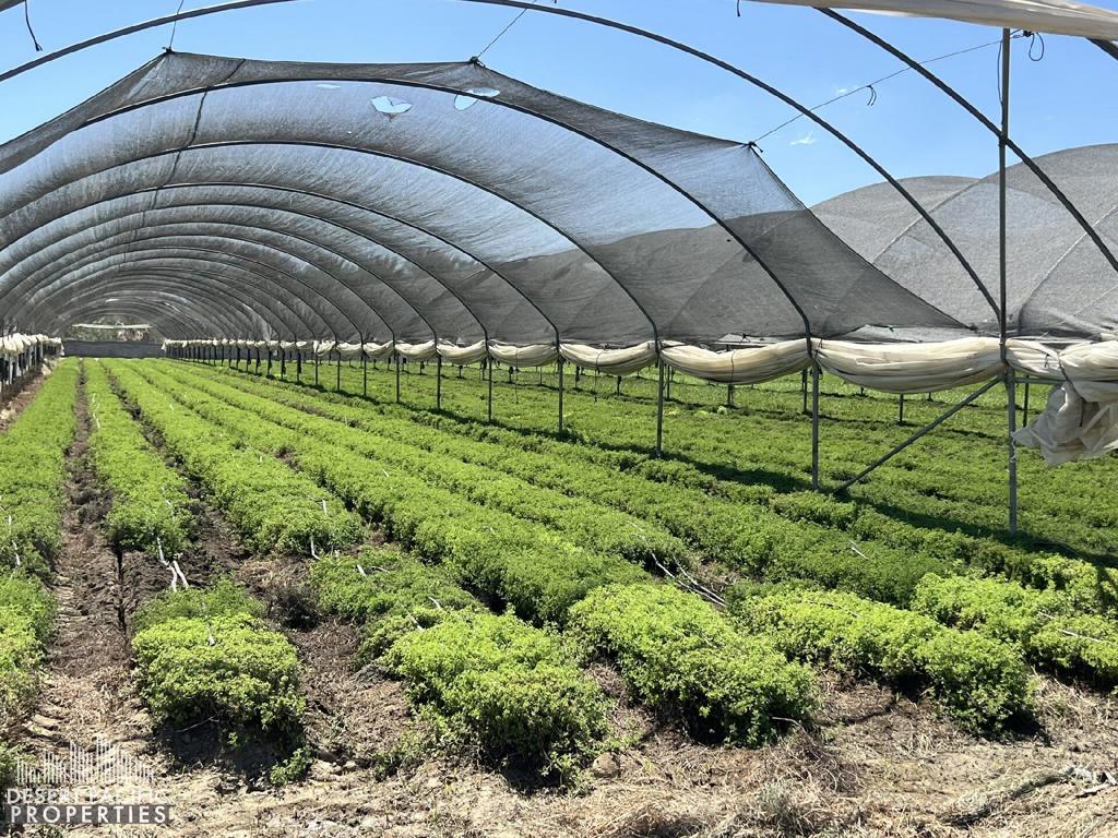 Not Applicable-1 - Land