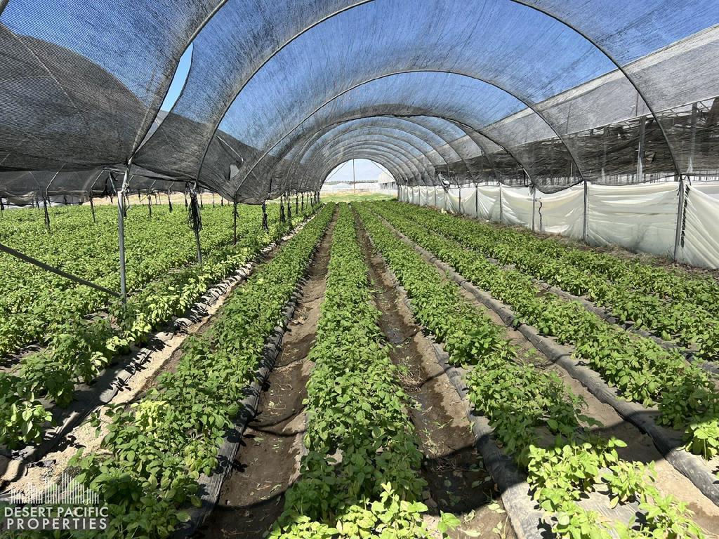 Not Applicable-1 - Land