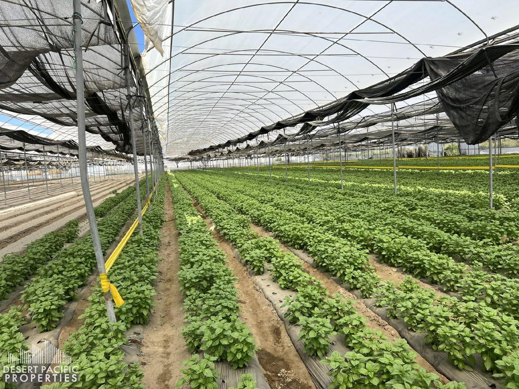 Not Applicable-1 - Land