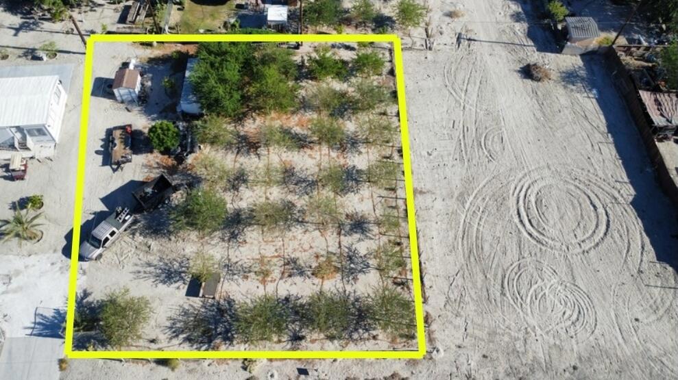 Spacious 12,632 sq ft flat lot in North Shore--ready for your building plans!The property includes producing fruit trees and is close to the park and off-road trails. Build your dream home or install a manufactured home. Utilities nearby.Fenced on 3 sides--only one side is open.Only the land and fruit trees are included. Any other items on the lot are the seller's personal property and not included in the sale.A great opportunity to start building without the wait!YO HABLO ESPANOL! Hable para cualquier pregunta. Gracias!