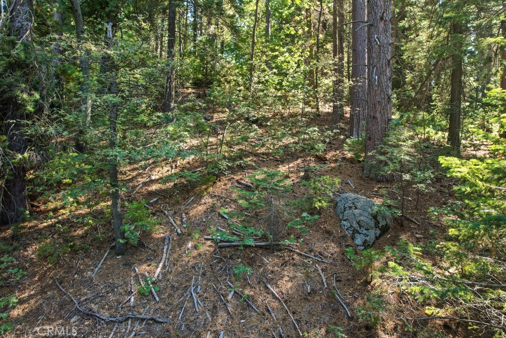 1 Ca-189