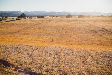 Photo of 68351 Jolon Road, Bradley, CA 93426 (MLS # ML82053413)